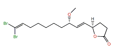 Xestospongiene H